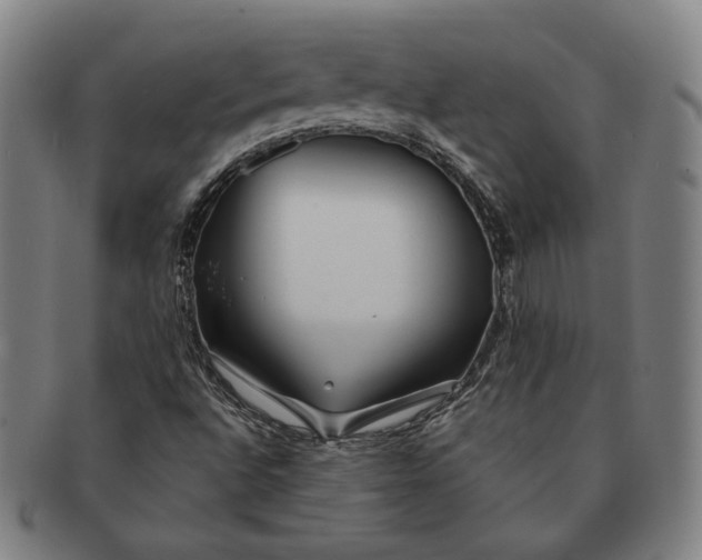 X0000091231496200708301503