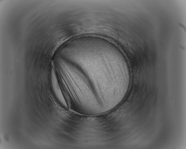 X0000091231497200708301503
