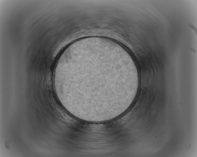 X0000091231498200708301503