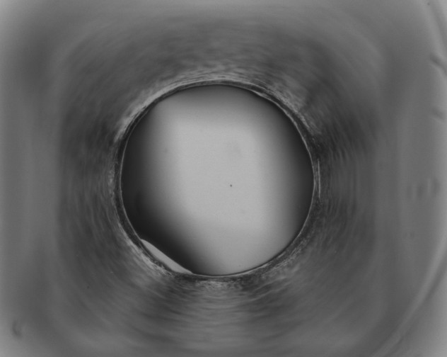 X0000091231500200708301503