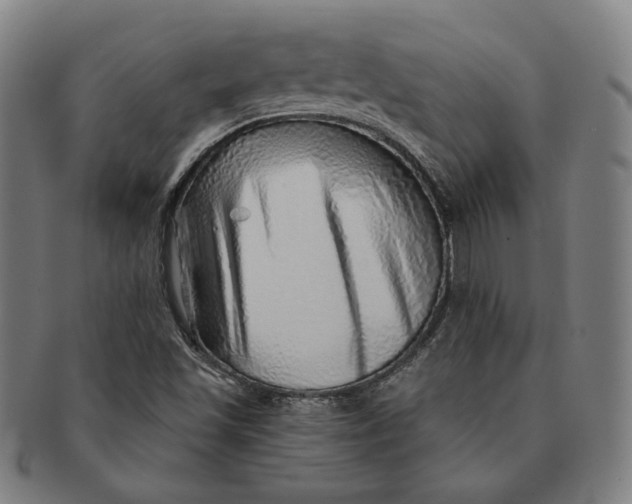 X0000091231501200708301503