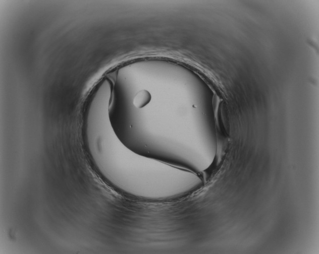 X0000091231502200708301503