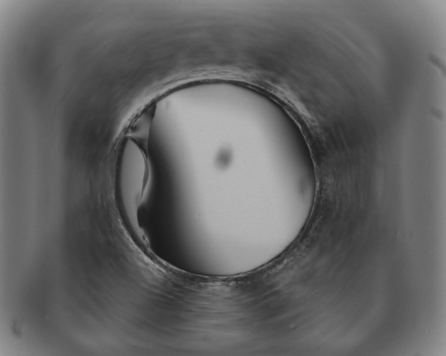 X0000091231504200708301503