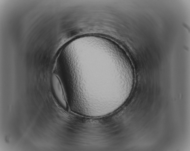 X0000091231505200708301503