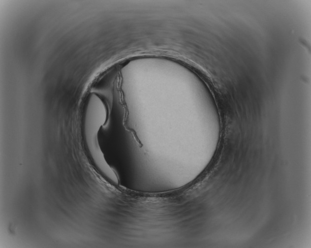 X0000091231506200708301503