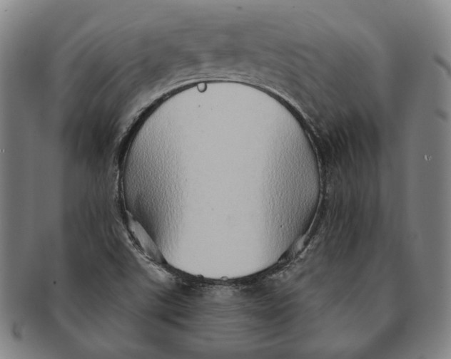 X0000091231507200708301503