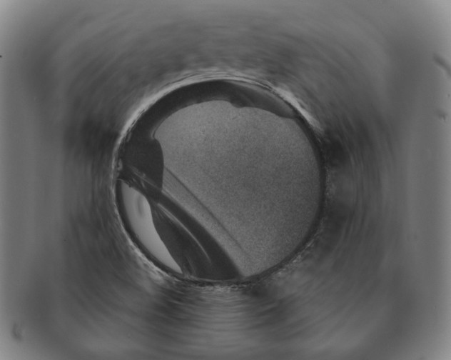 X0000091231508200708301503