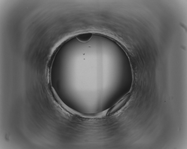 X0000091231510200708301503