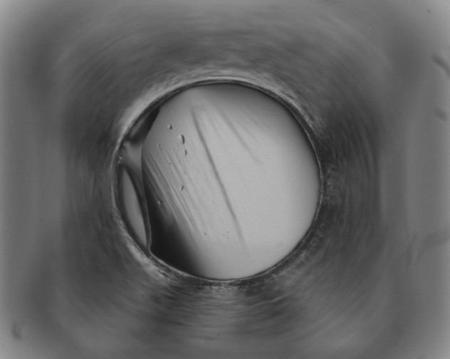 X0000091231511200708301503