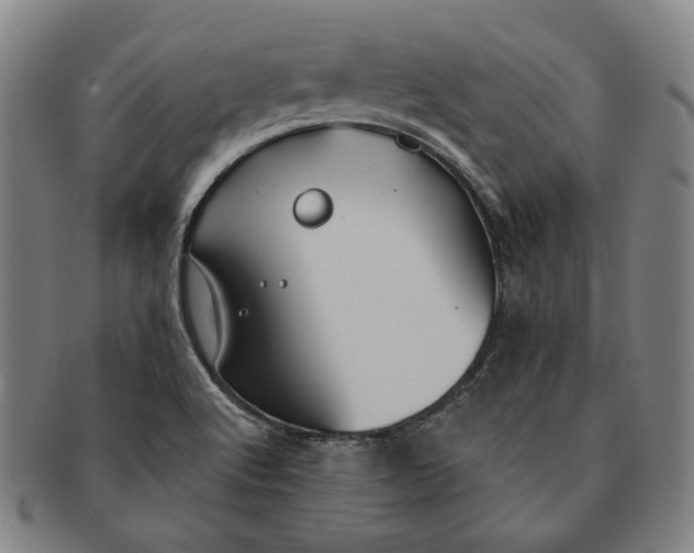 X0000091231512200708301503