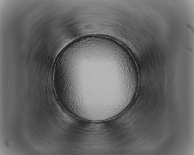 X0000091231513200708301503