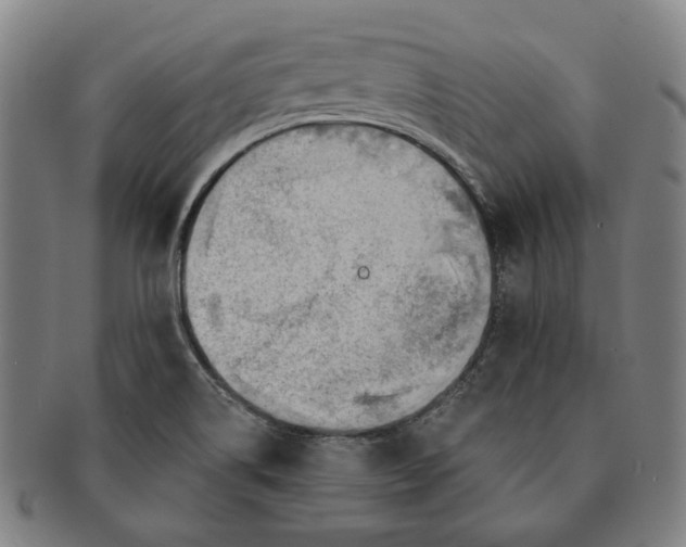 X0000091231514200708301503