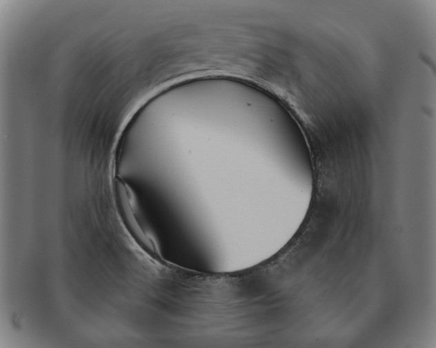 X0000091231516200708301503