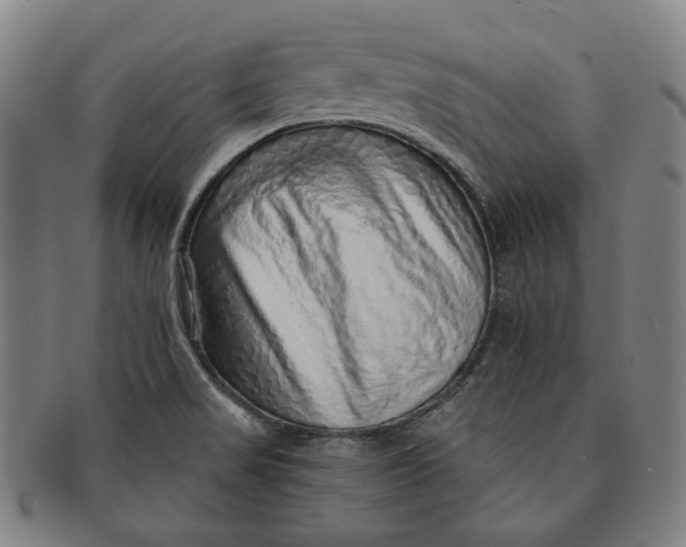 X0000091231517200708301503