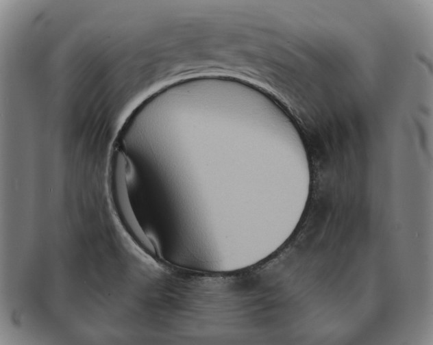 X0000091231518200708301503