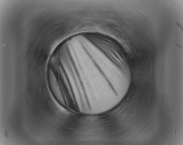 X0000091231519200708301503