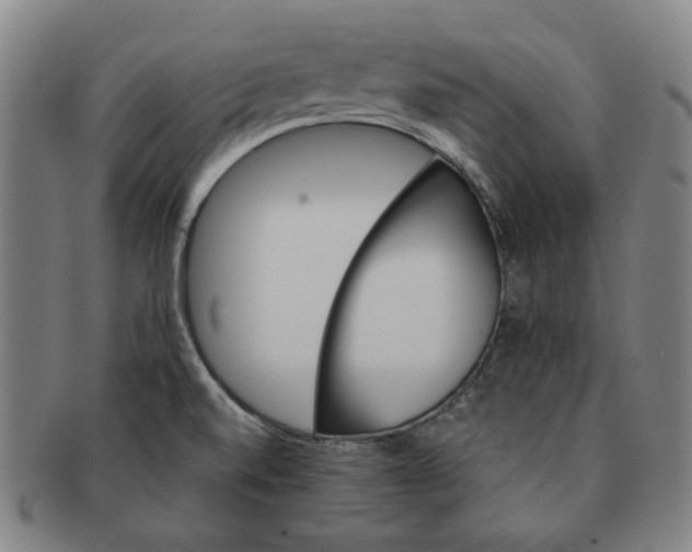 X0000091231520200708301503