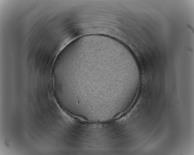 X0000091231521200708301503