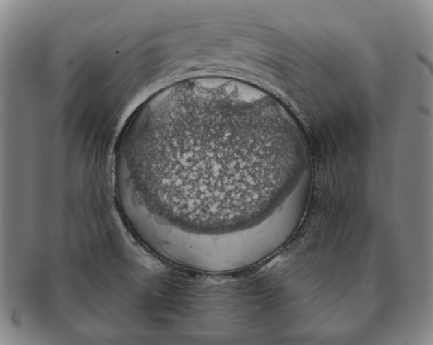 X0000091231522200708301503