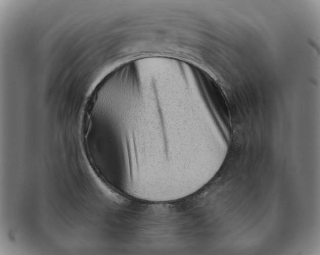 X0000091231523200708301503