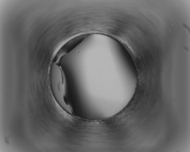 X0000091231524200708301503