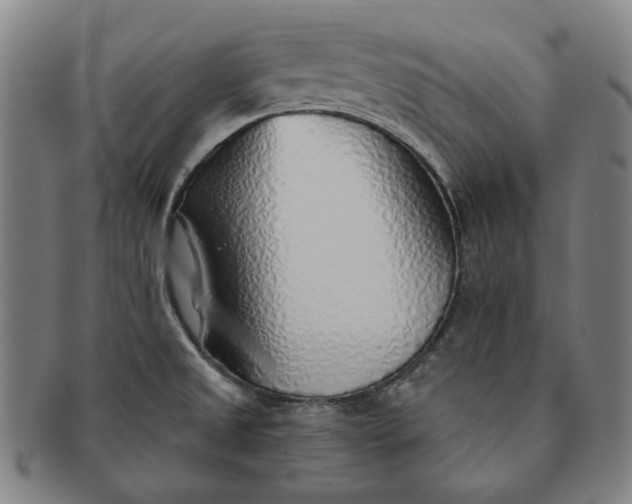 X0000091231525200708301503