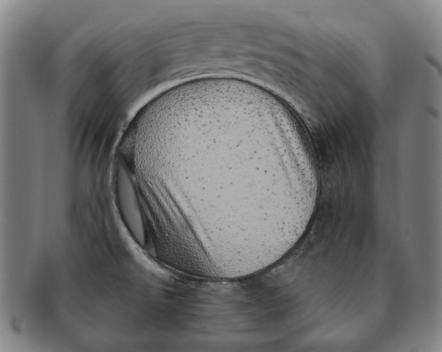 X0000091231526200708301503