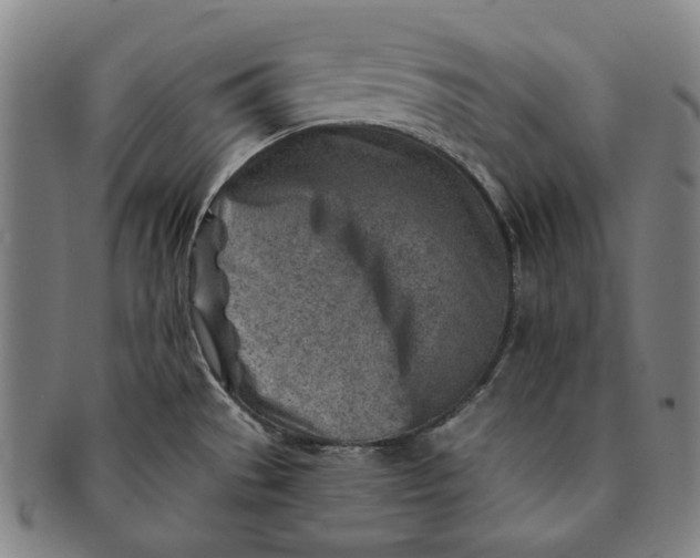 X0000091231529200708301504