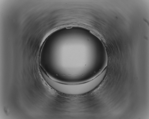 X0000091231530200708301504