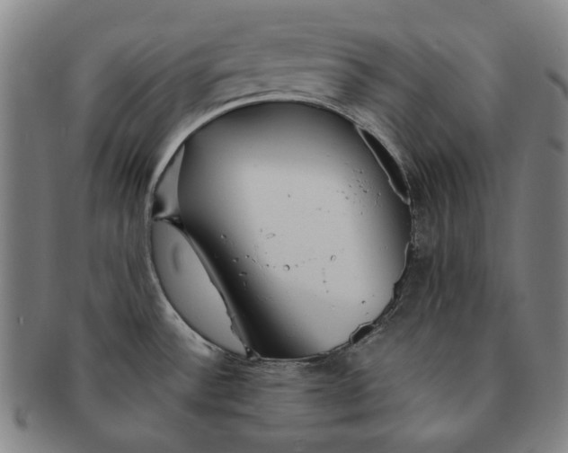 X0000091231532200708301504