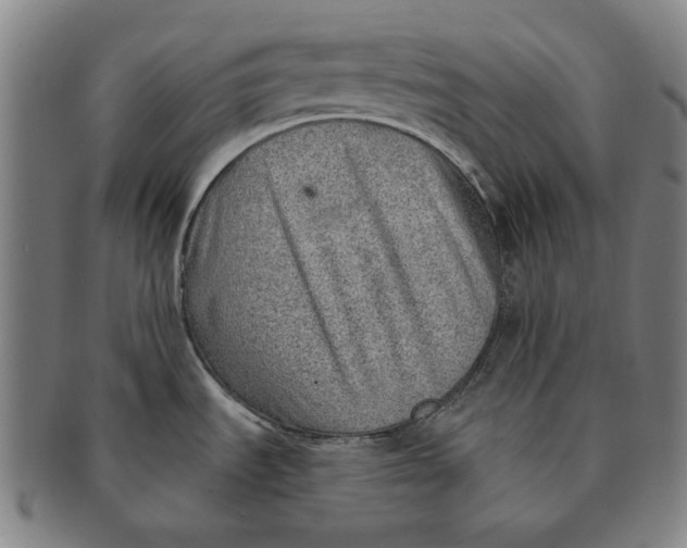 X0000091231535200708301504