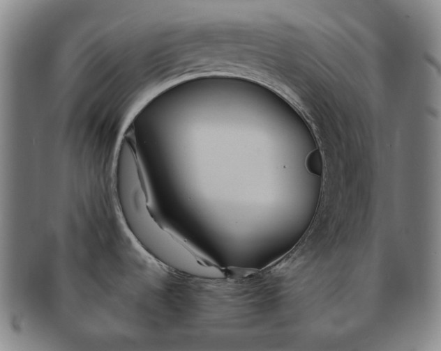 X0000091231536200708301504