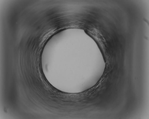X0000091230001200709061529