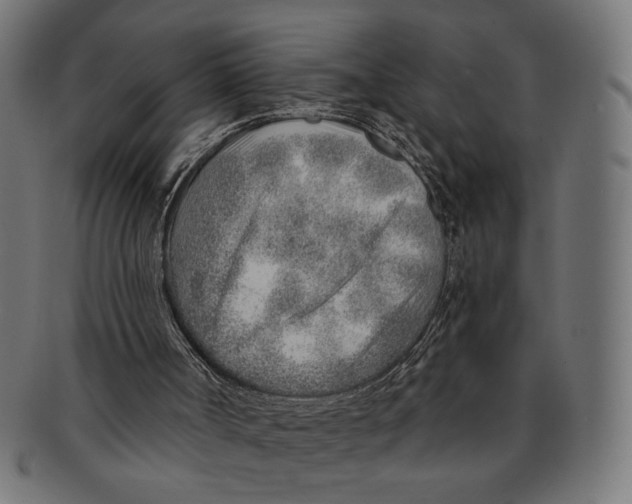 X0000091230002200709061529
