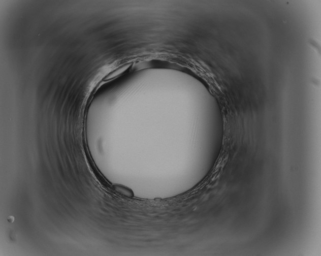 X0000091230003200709061529