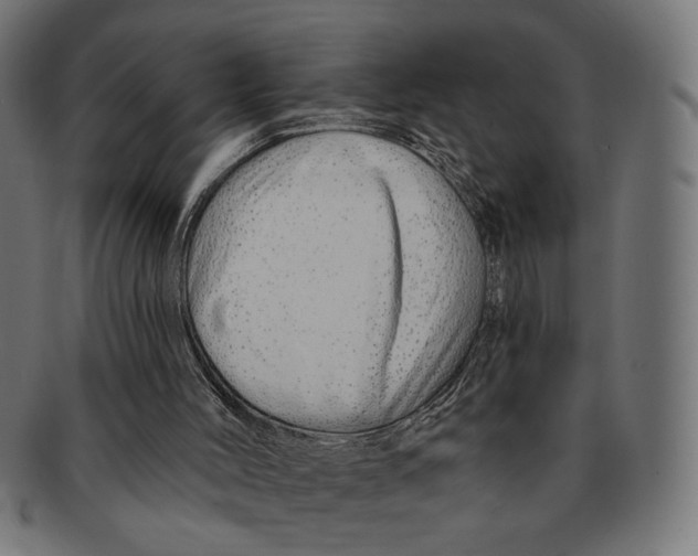 X0000091230004200709061529