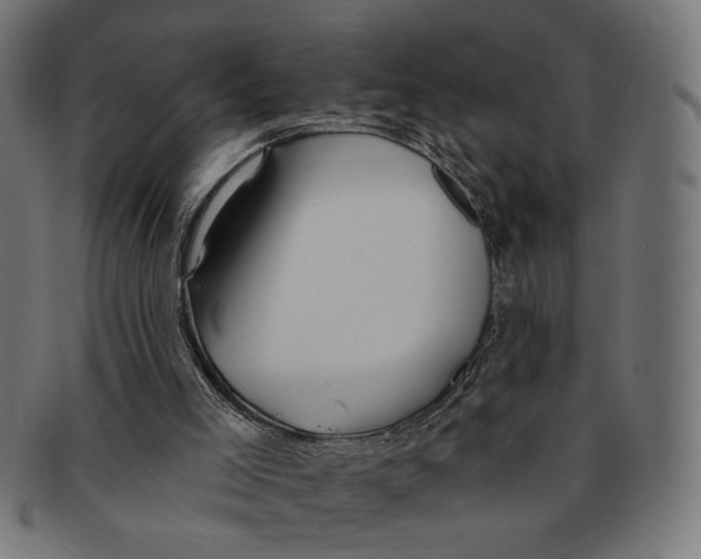X0000091230005200709061529