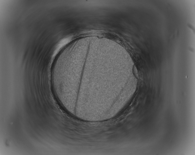 X0000091230006200709061529