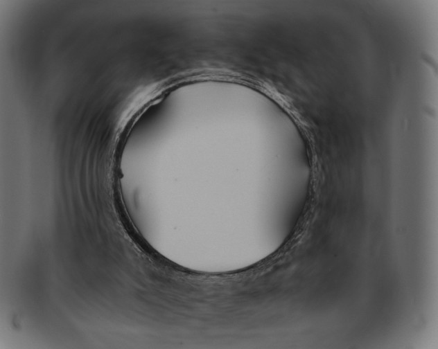 X0000091230007200709061528
