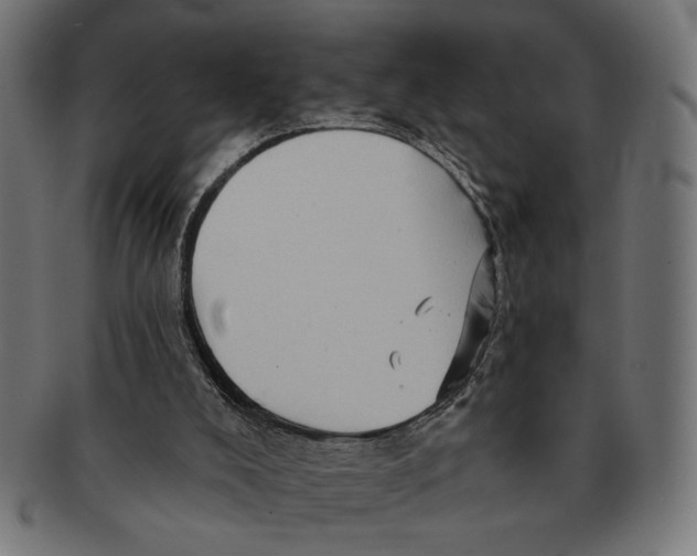 X0000091230008200709061528