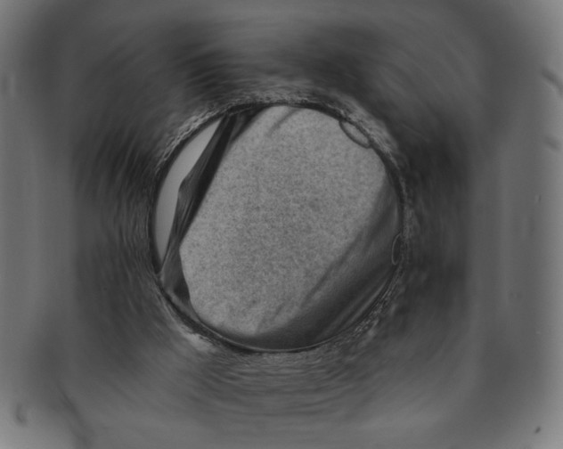 X0000091230009200709061528