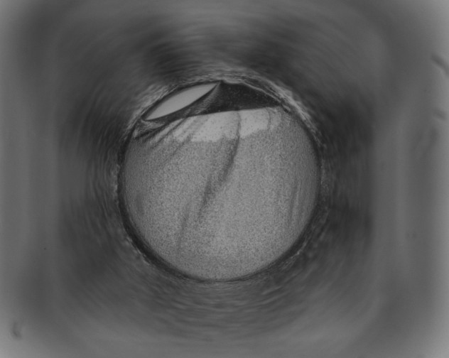 X0000091230010200709061528