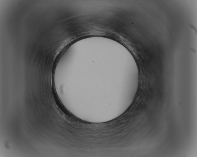 X0000091230011200709061528