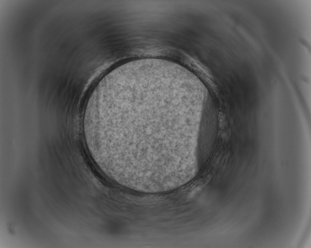X0000091230012200709061528