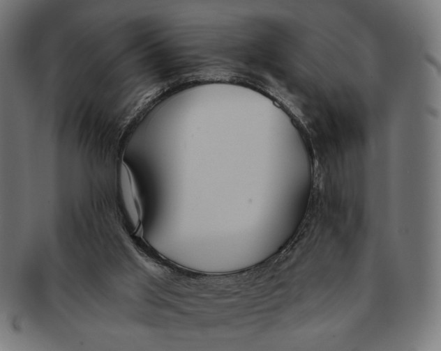 X0000091230013200709061528