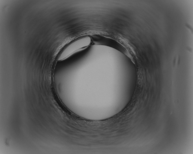 X0000091230015200709061528