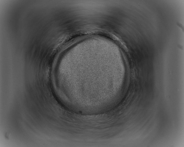 X0000091230018200709061528