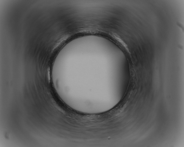 X0000091230020200709061528