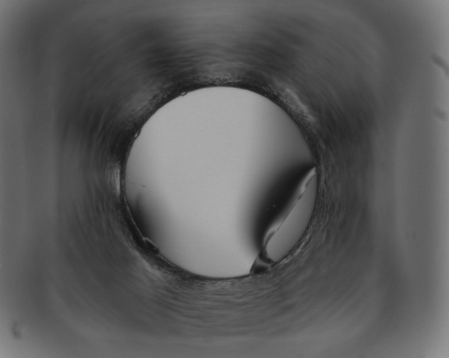 X0000091230021200709061528