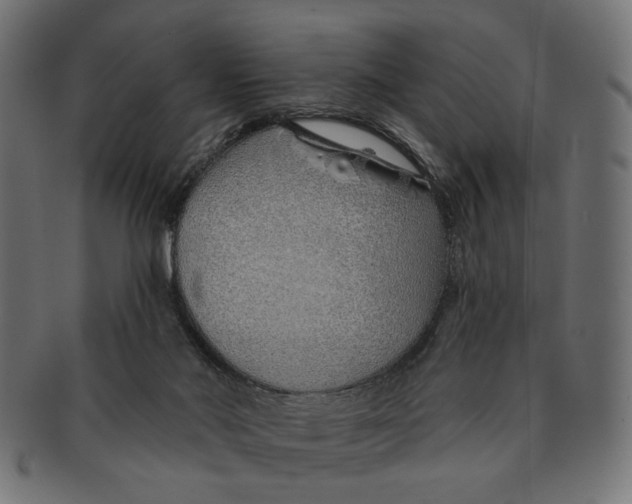 X0000091230022200709061528